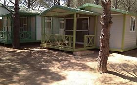 Camping Neptuno Pals 2*